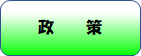 政策